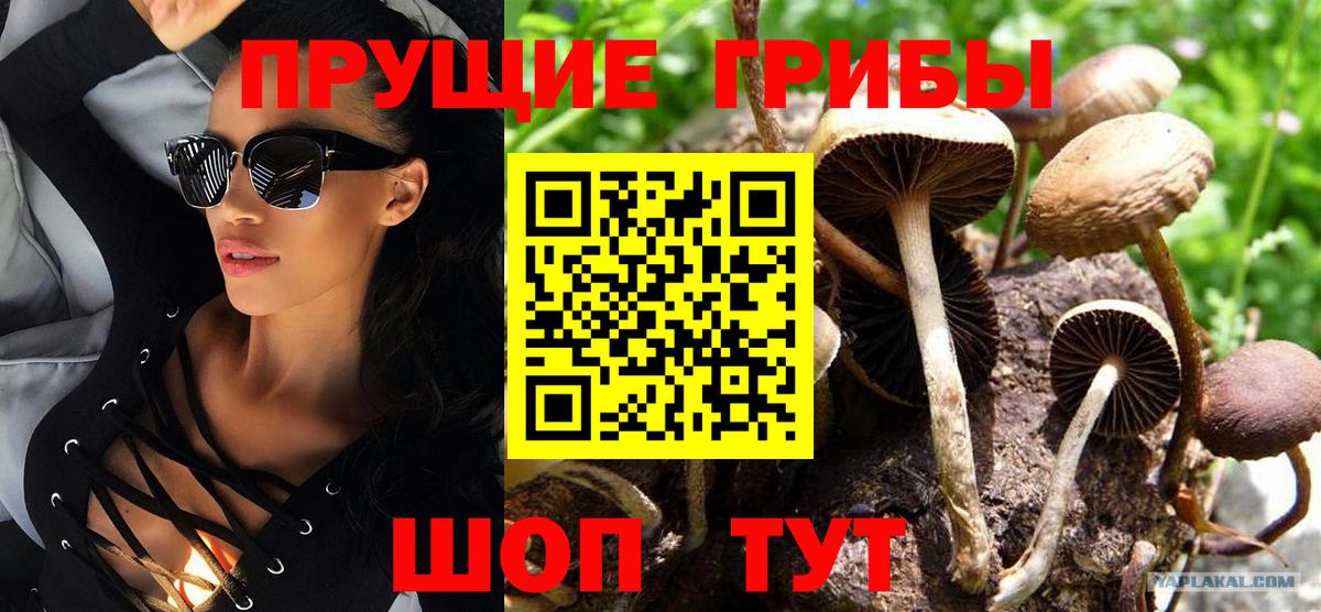 Междуреченск  Псилоцибиновые грибы ЛСД  Вход с VPN 
